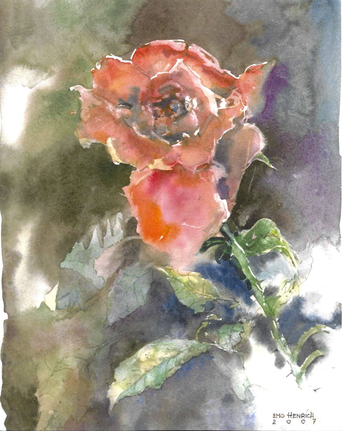 Rose